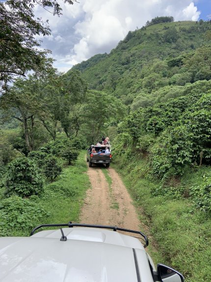 Guatemala COE 2024 No.5 El Socorro Washed Gesha