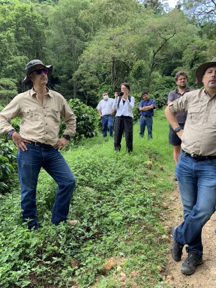 Guatemala COE 2024 No.5 El Socorro Washed Gesha