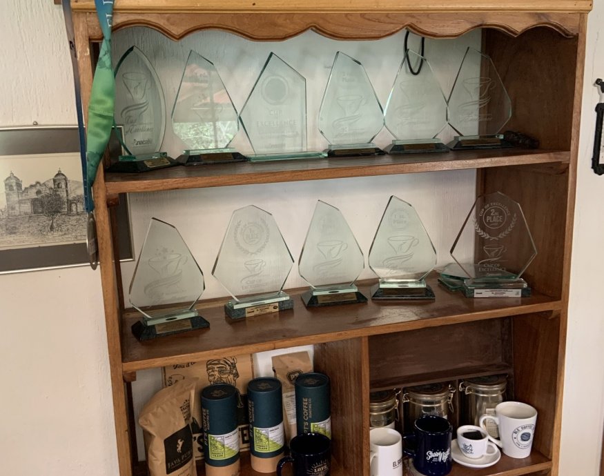 Guatemala COE 2024 No.5 El Socorro Washed Gesha