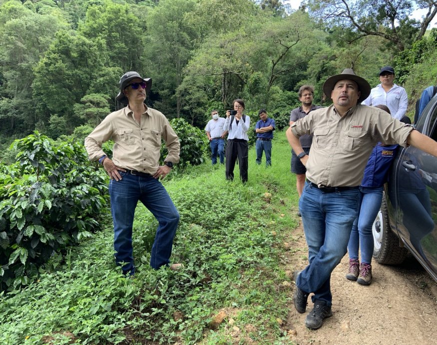 Guatemala COE 2024 No.5 El Socorro Washed Gesha